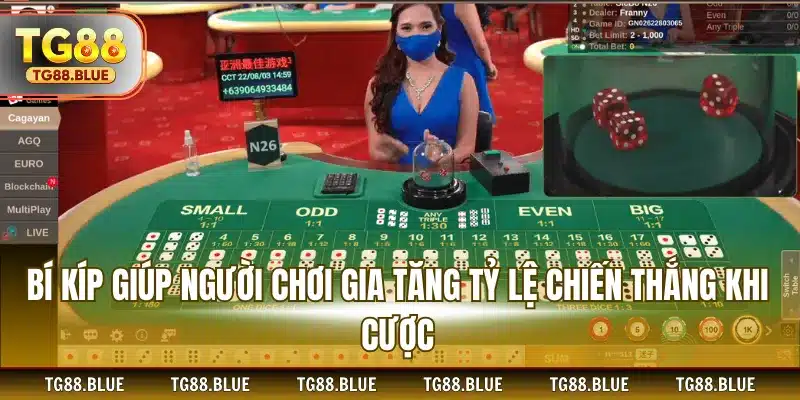 Bí kíp giúp người chơi gia tăng tỷ lệ chiến thắng khi cược