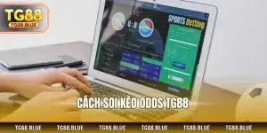 Cách soi kèo Odds TG88